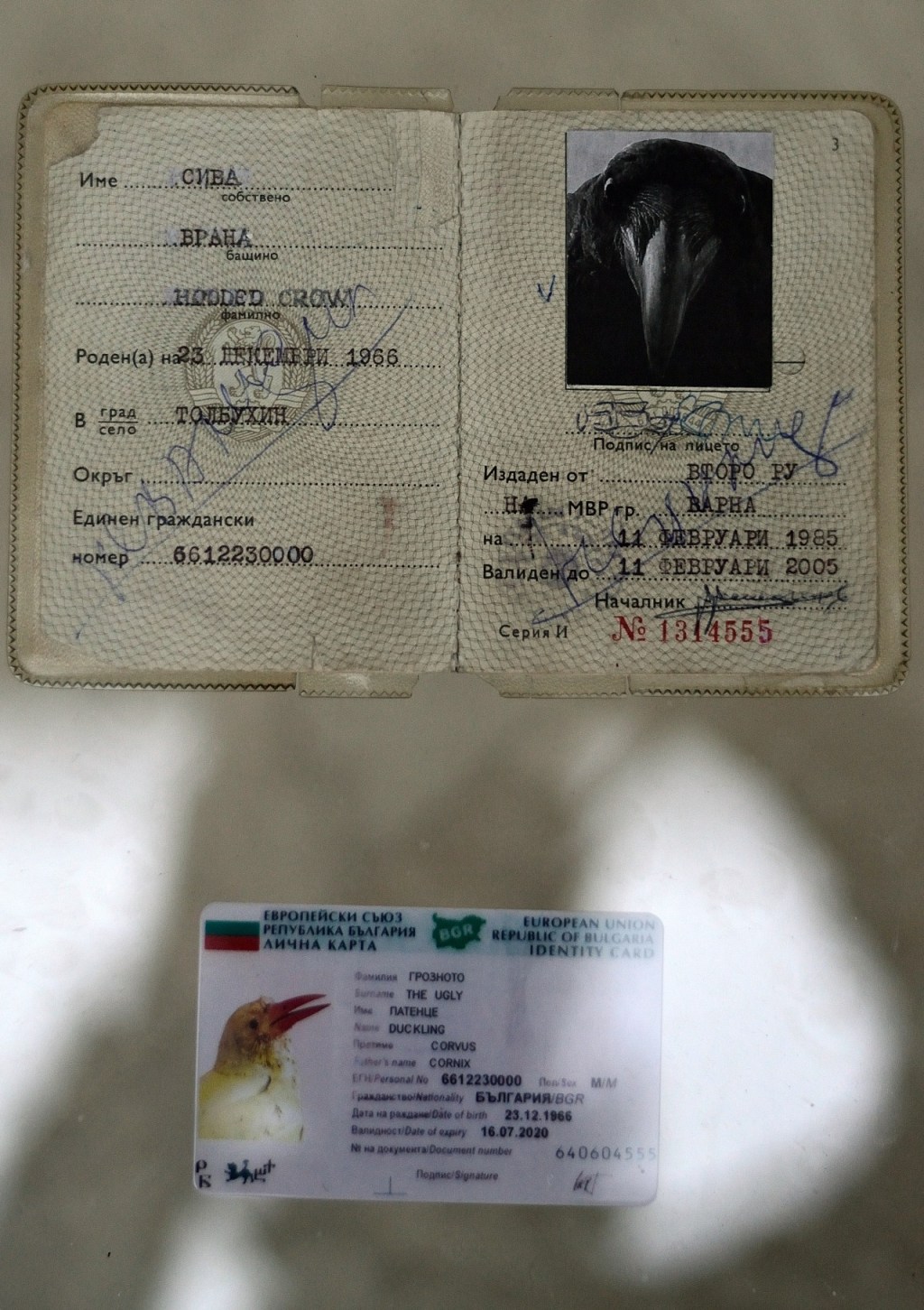 ¿Qué es identidad?